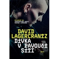Dívka v pavoučí síti - E-kniha