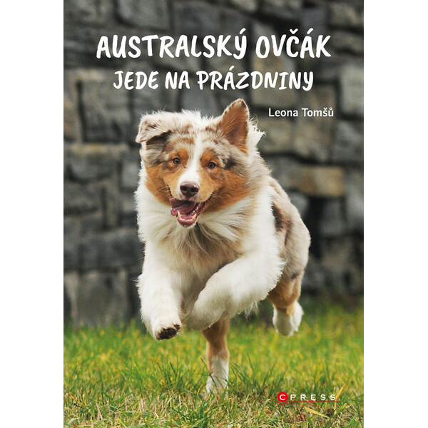 Australský ovčák jede na prázdniny