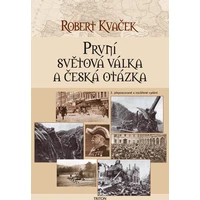 První světová válka a česká otázka - E-kniha