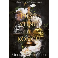 Déšť stínů a konců - E-kniha
