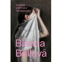 Stručný průvodce odcházením - E-kniha