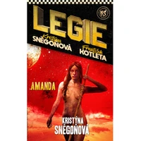 Amanda - E-kniha
