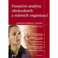 Finanční analýza obchodních a státních organizací - E-kniha