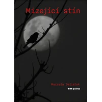 Mizející stín - E-kniha