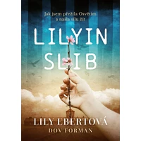 Lilyin slib - E-kniha