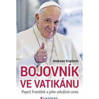 Bojovník ve Vatikánu - E-kniha