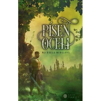 Píseň oceli - E-kniha