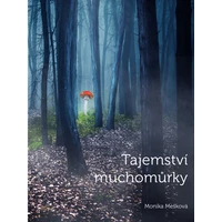 Tajemství muchomůrky - E-kniha