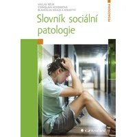 Slovník sociální patologie - E-kniha