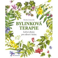 Bylinková terapie - E-kniha
