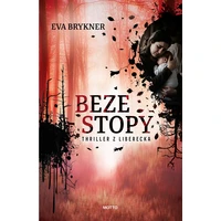 Beze stopy - E-kniha