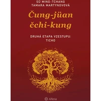 Čung-jüan čchi-kungu – Druhá etapa vzestupu: Ticho - E-kniha