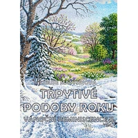 Třpytivé podoby roku / Vánoční reminiscence II - E-kniha