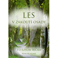 Les v zákoutí osady - E-kniha