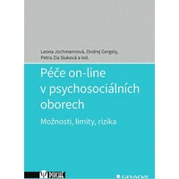 Péče on-line v psychosociálních oborech - E-kniha
