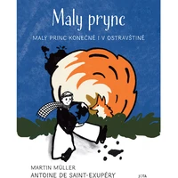 Maly prync - E-kniha