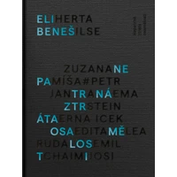 Nepatrná ztráta osamělosti - E-kniha