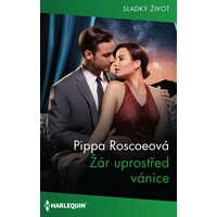 Žár uprostřed vánice - E-kniha
