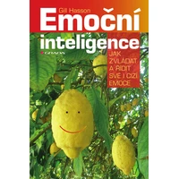 Emoční inteligence - E-kniha
