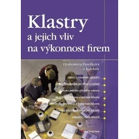 Klastry a jejich vliv na výkonnost firem - E-kniha