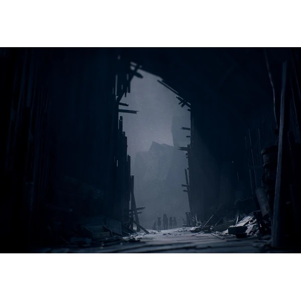 Reanimal (Game-key card) (Switch 2) - Hry pro Nintendo Switch 2 - Obrázek c234b00056a3461ea7ea37b5d6f2f170