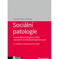 Sociální patologie - E-kniha