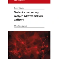 Vedení a marketing malých zdravotnických zařízení - E-kniha