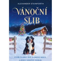 Vánoční slib - E-kniha