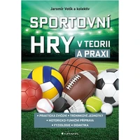 Sportovní hry v teorii a praxi - E-kniha