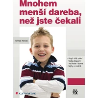 Mnohem menší dareba, než jste čekali - E-kniha