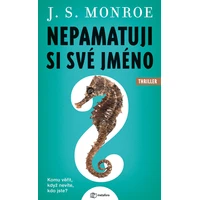 Nepamatuji si své jméno - E-kniha