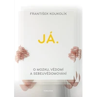 Já. O mozku, vědomí a sebeuvědomování - E-kniha