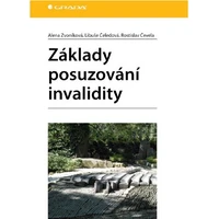 Základy posuzování invalidity - E-kniha