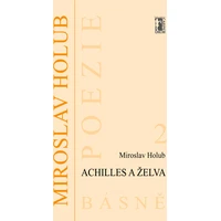 Achilles a želva - E-kniha