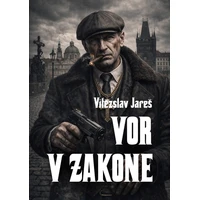 Vor v zakone - E-kniha