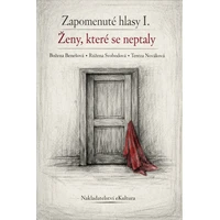 Zapomenuté hlasy I.: Ženy, které se neptaly - E-kniha