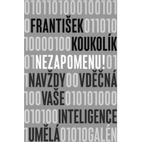 Nezapomenu! - E-kniha