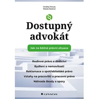 Dostupný advokát: Jak na běžné právní situace - E-kniha