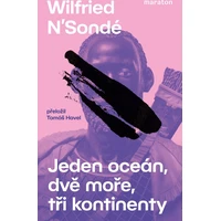 Jeden oceán, dvě moře, tři kontinenty - E-kniha