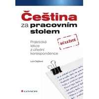 Čeština za pracovním stolem - E-kniha