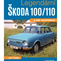Legendární Škoda 100/110 - E-kniha