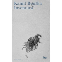 Inventura - E-kniha