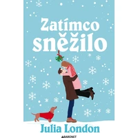 Zatímco sněžilo - E-kniha