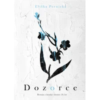 Dozorce - E-kniha
