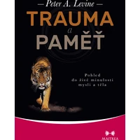Trauma a paměť - E-kniha