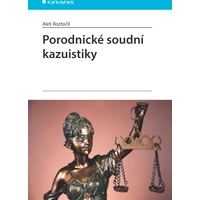 Porodnické soudní kazuistiky - E-kniha