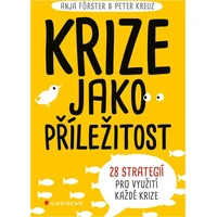 Krize jako příležitost - E-kniha