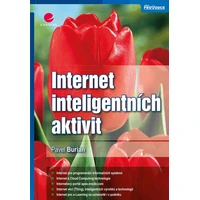 Internet inteligentních aktivit - E-kniha