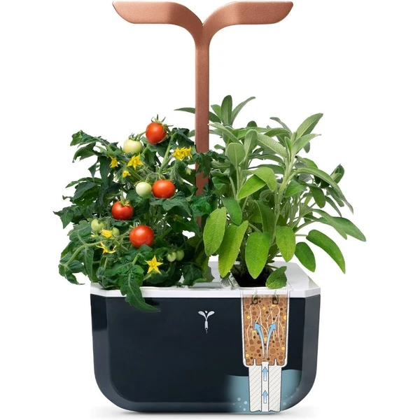 Véritable Exky SMART automatický květináč s regulací osvětlení (2ks Lingot) černý - Květináče - Obrázek cbdf835eb0e646958292e1de50032519