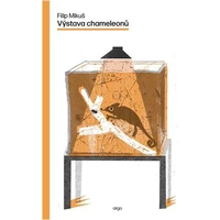 Výstava chameleonů - E-kniha